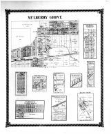 Mulberry Grove, New Berlin, New Hamburg, Dudleyville, Elm Point PO, Stubblefield, Oakdale, Fairview, Bond County 1875 Microfilm